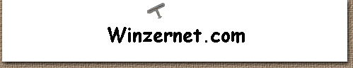  Winzernet.com 